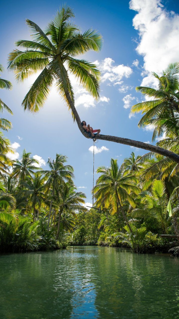 Meisje in een palmboom op Siargao | Mola Mola Travel